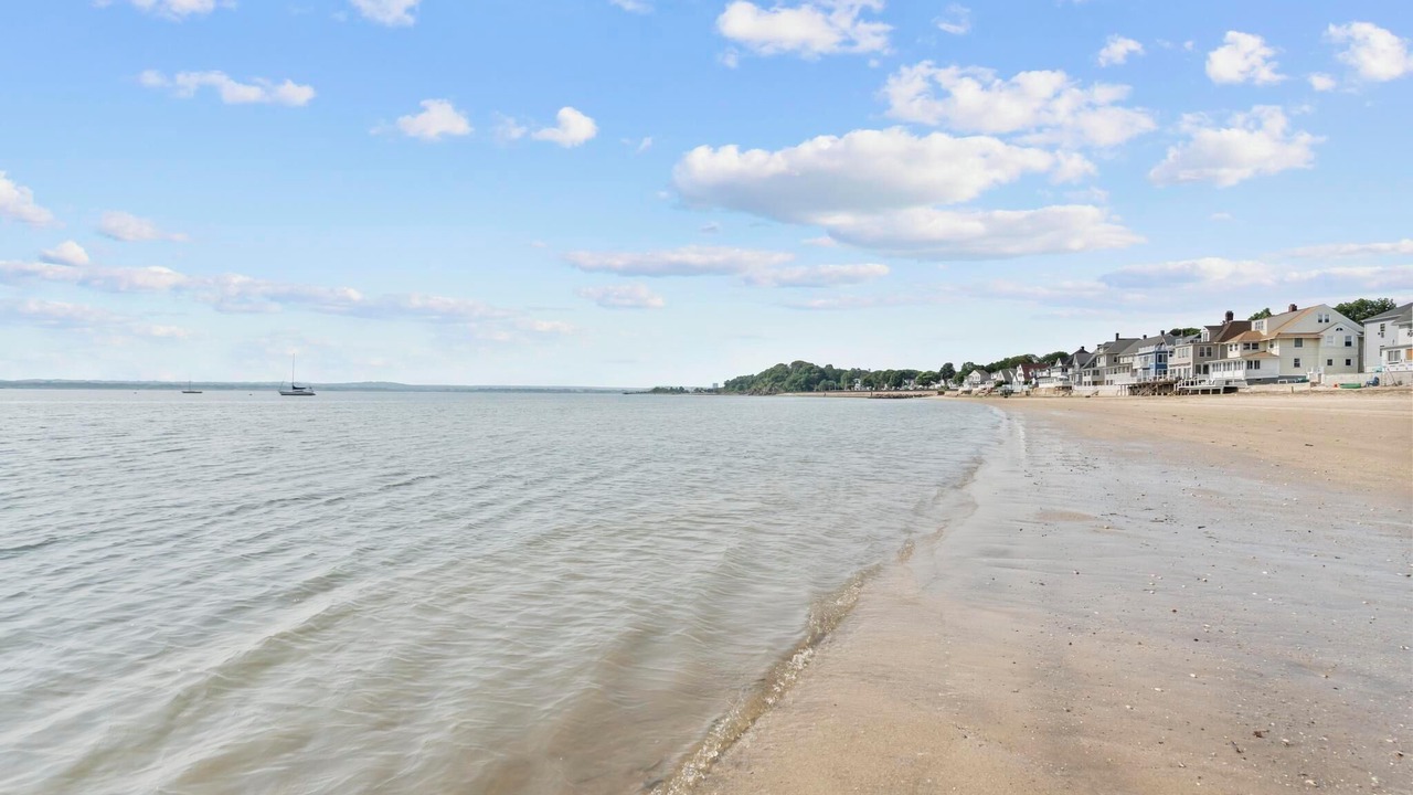 Photo of Others in East Shore