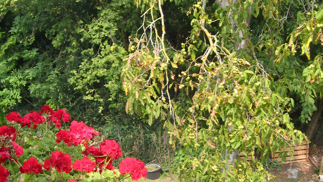 Photo of Others in Ueberlingen
