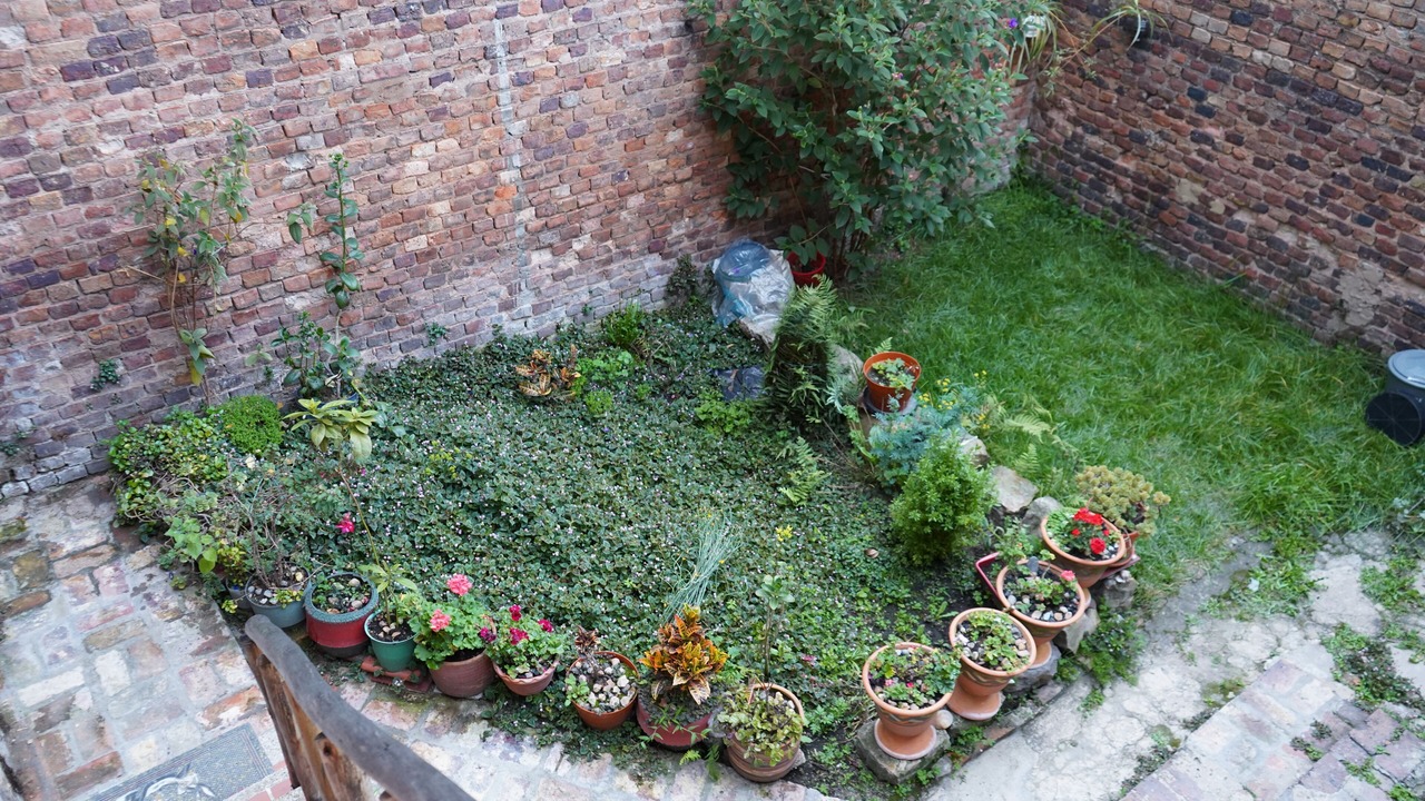 Photo of Outdoor in La Candelaria