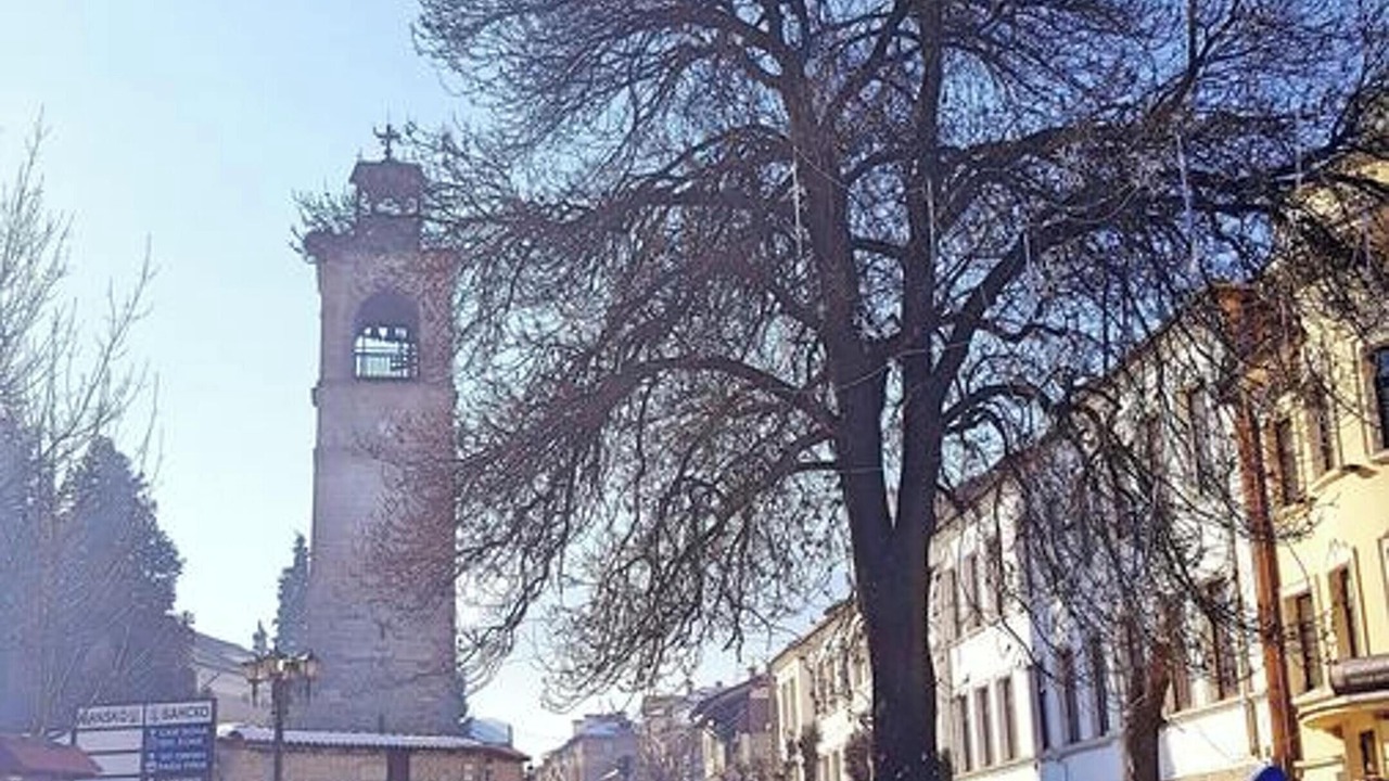Photo of Others in Shiligarnika