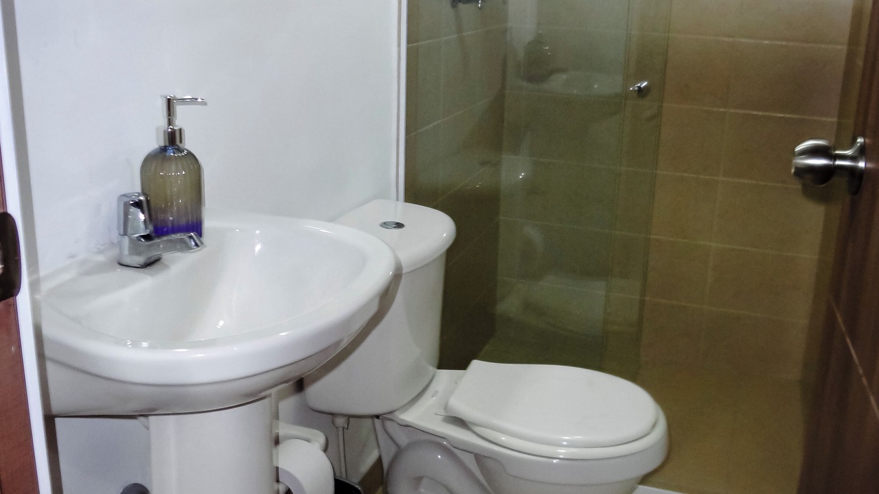 Photo of Bathroom in Sabaneta