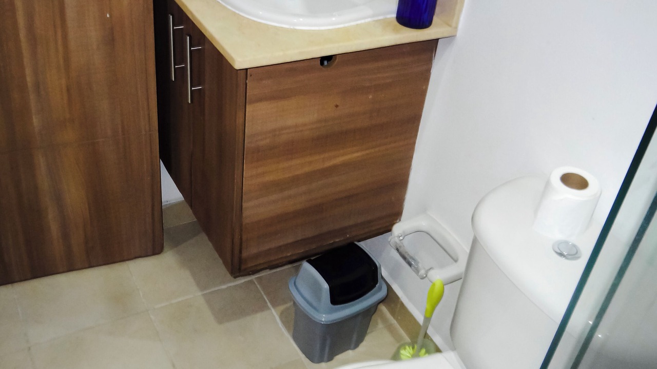 Photo of Bathroom in Sabaneta