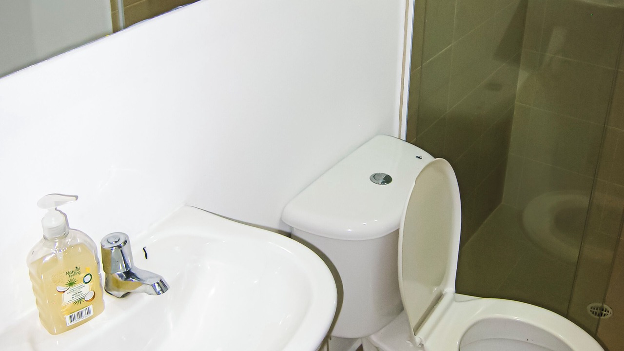 Photo of Bathroom in Sabaneta