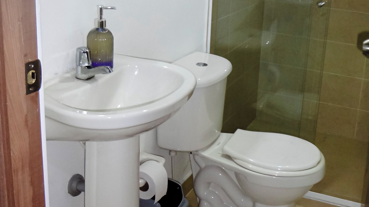 Photo of Bathroom in Sabaneta