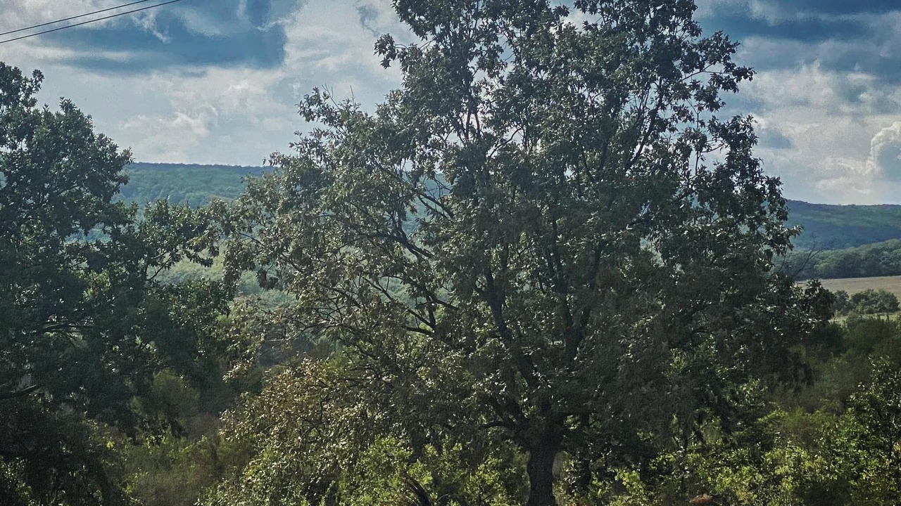 Photo of Others in Obzor