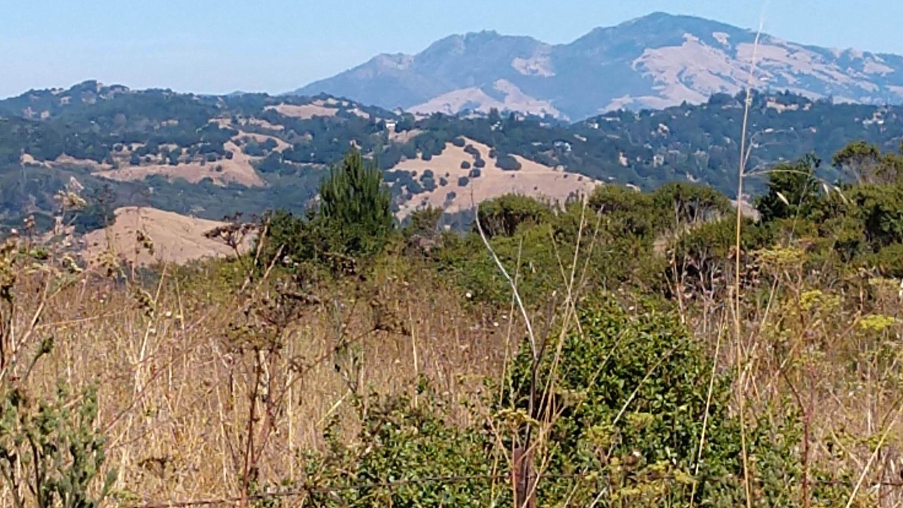 Photo of Others in Thousand Oaks