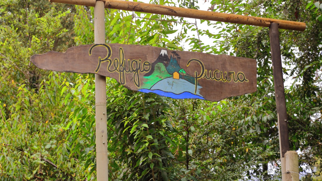 Photo of Others in Panguipulli