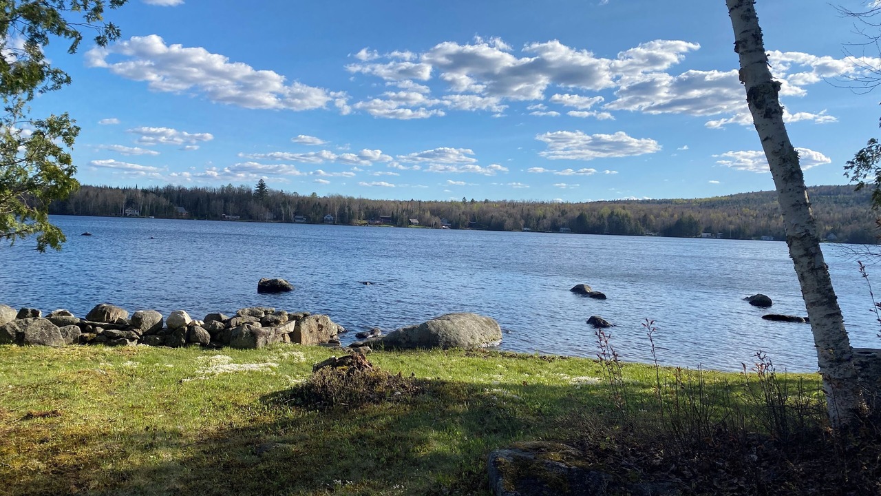 Photo of Others in Concord