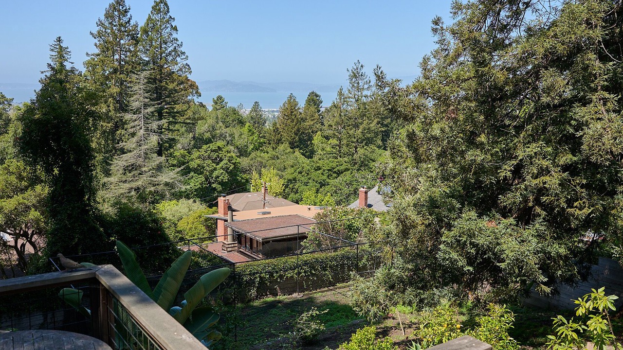Photo of Others in Berkeley Hills