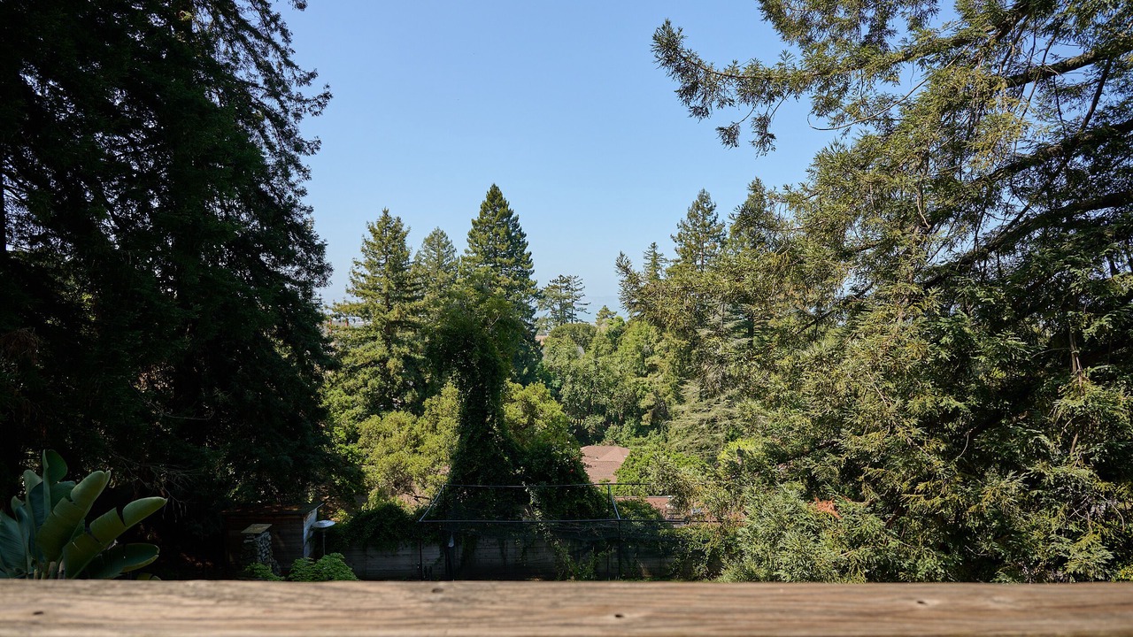 Photo of Others in Berkeley Hills