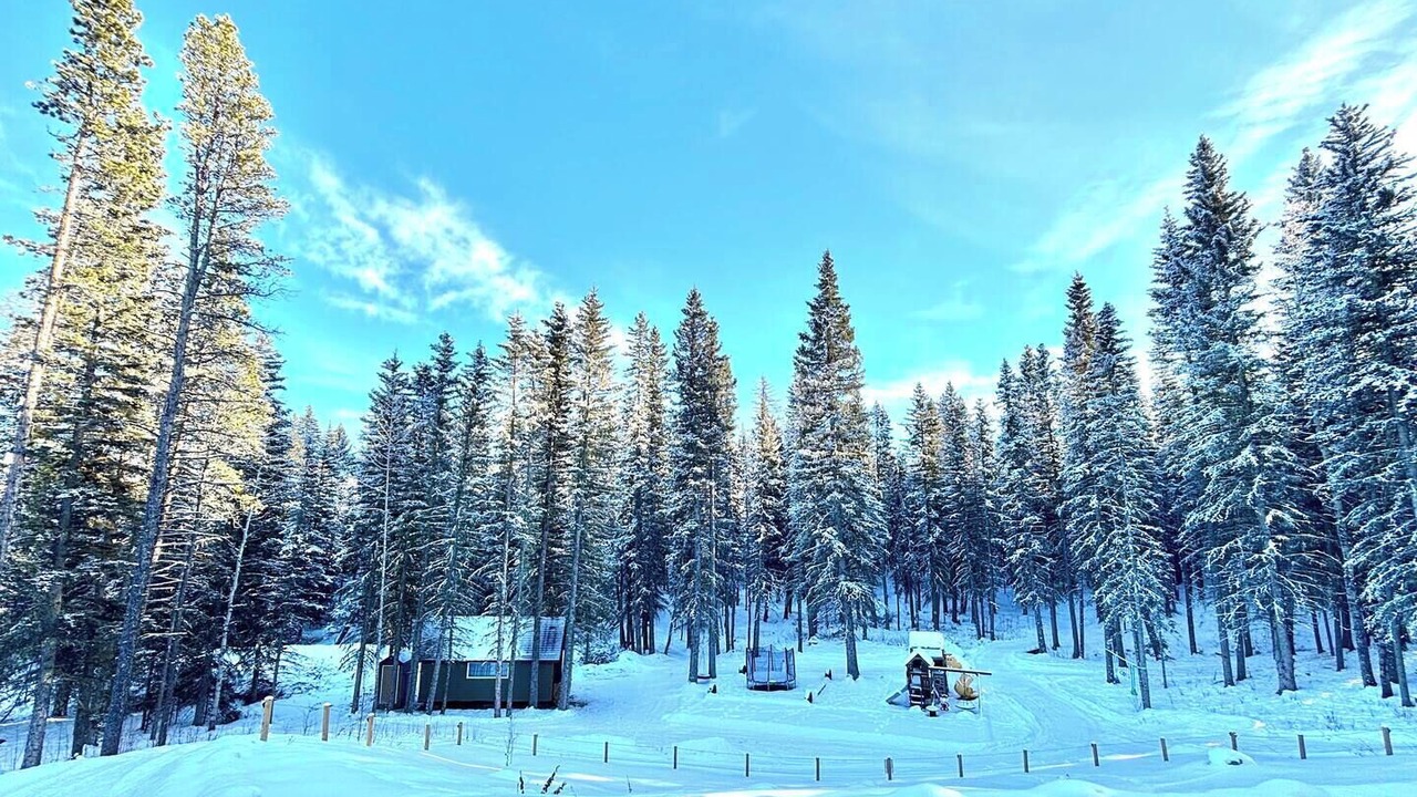 Photo of Others in Calgary