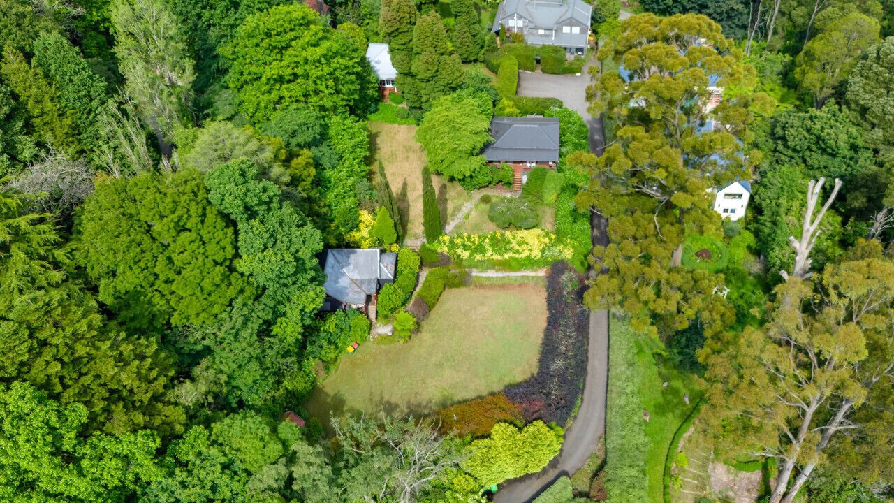 Photo of Outdoor in Mount Dandenong