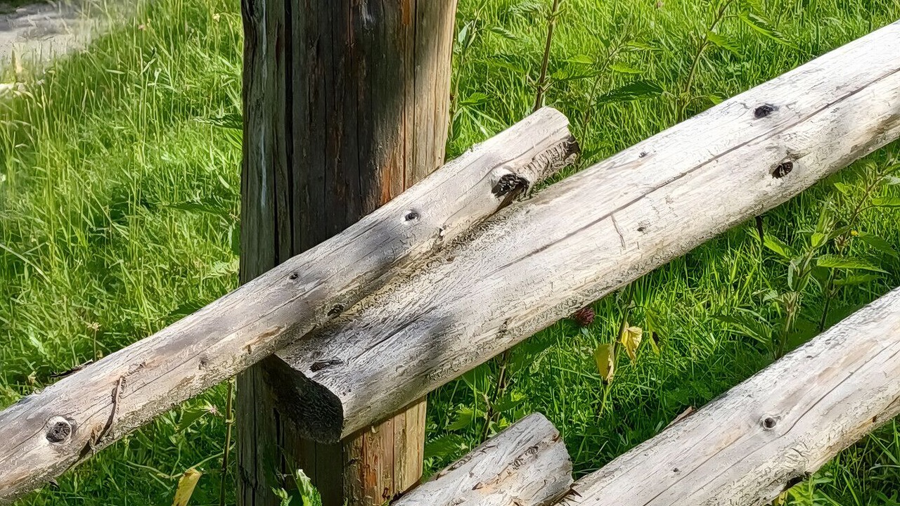 Photo of Outdoor in Oberhausen