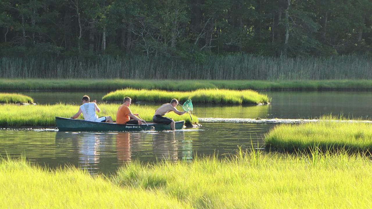 Photo of Others in Old Lyme