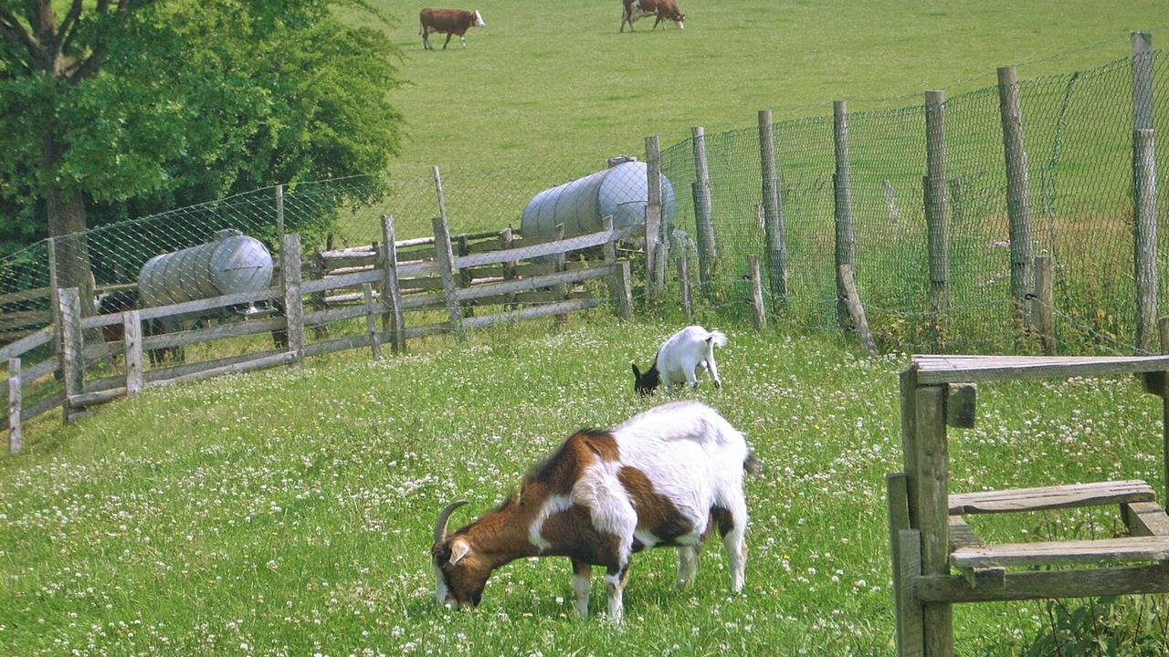 Photo of Others in Boedefeld