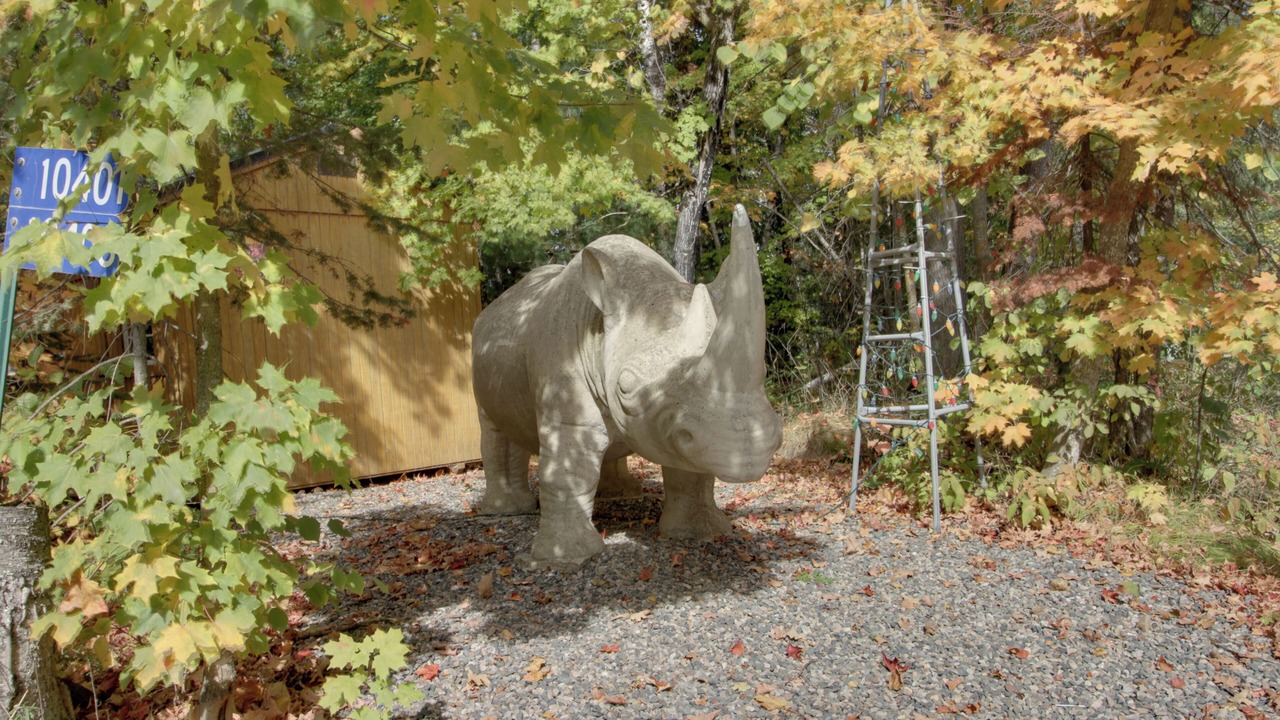 Photo of Outdoor in Deer River