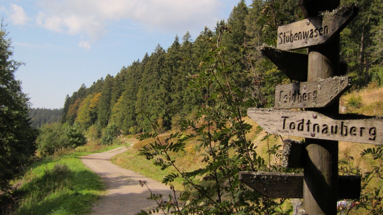 Photo of Outdoor in Todtnauberg