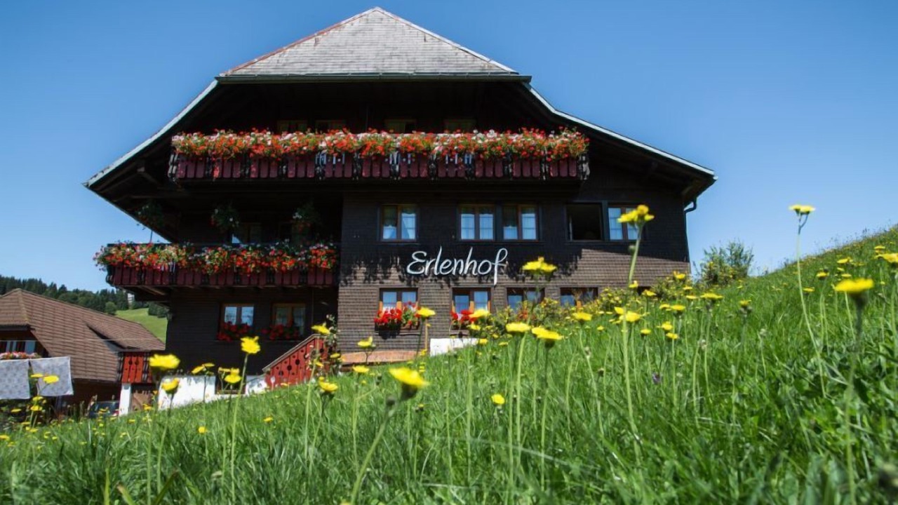 Photo of Outdoor in Todtnauberg