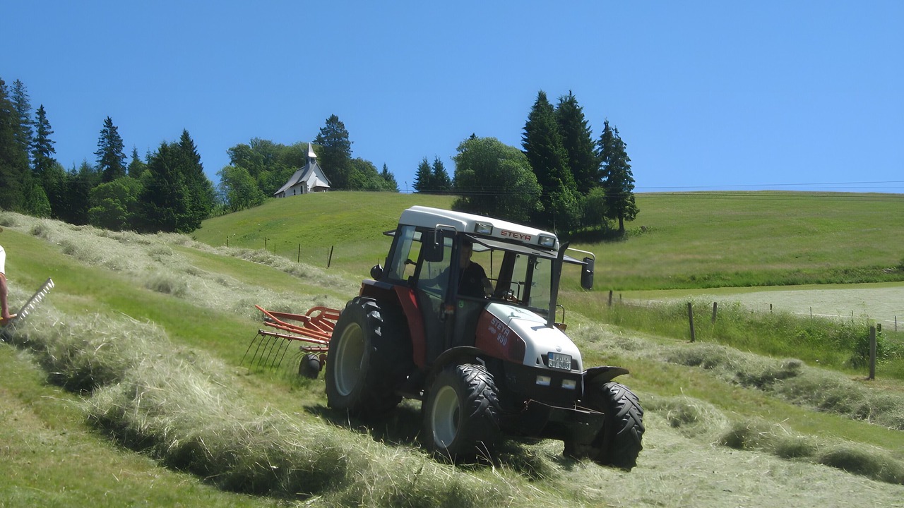 Photo of Others in Todtnauberg