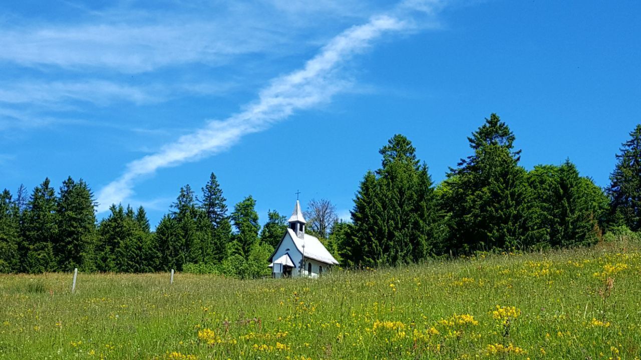 Photo of Outdoor in Todtnauberg