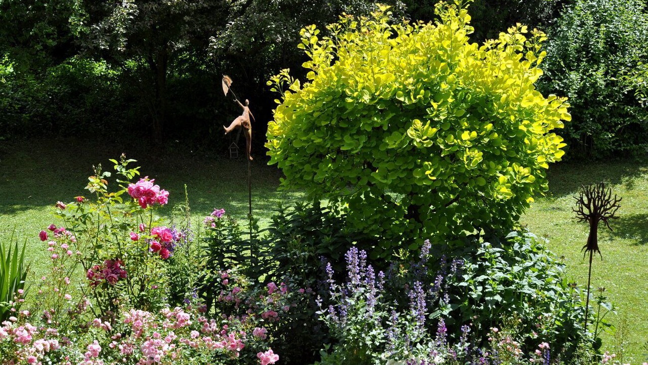 Photo of Outdoor in Gomadingen