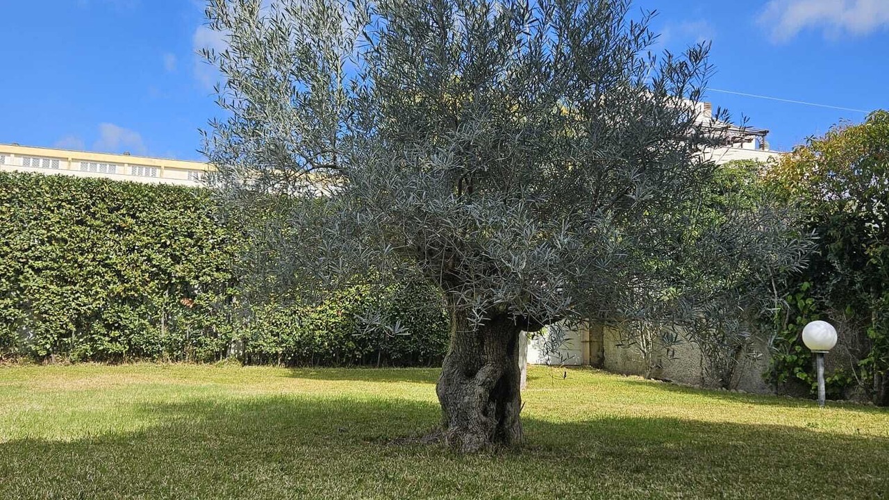 Photo of Outdoor in Santa Marinella