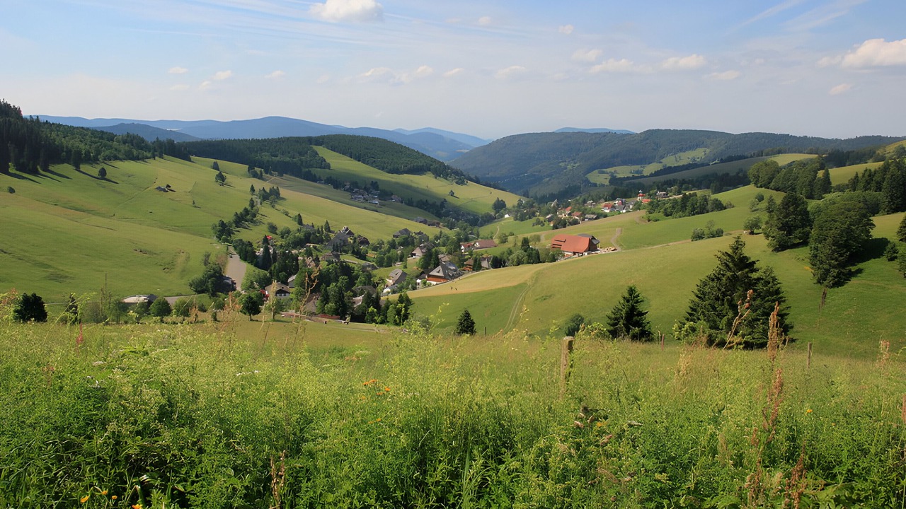 Photo of Others in Todtnau