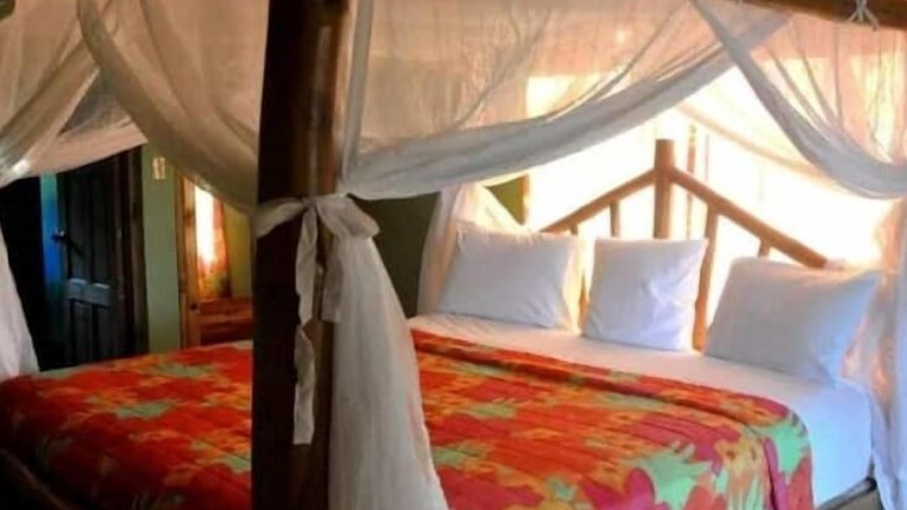 Photo of Bedroom in Little Bay