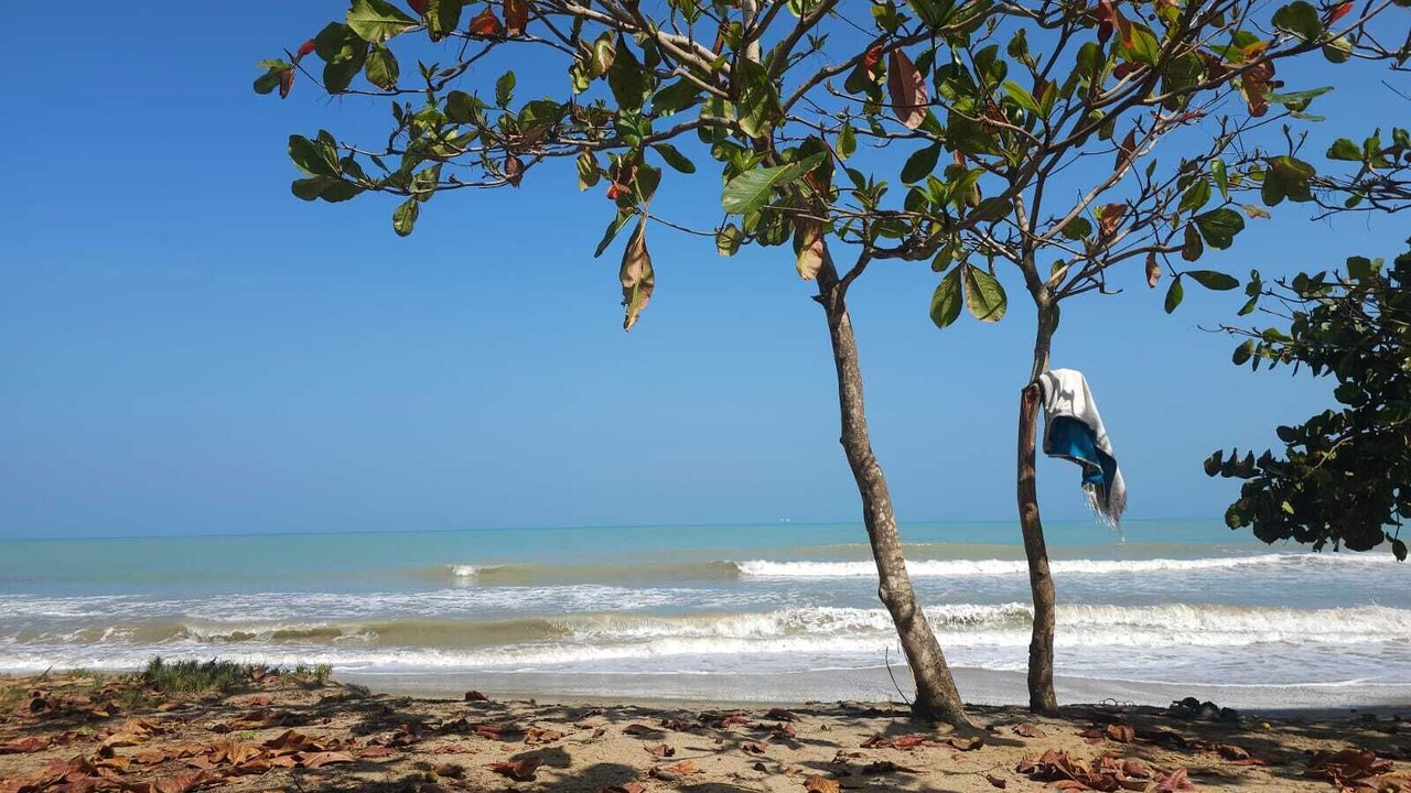 Photo of Others in Riohacha