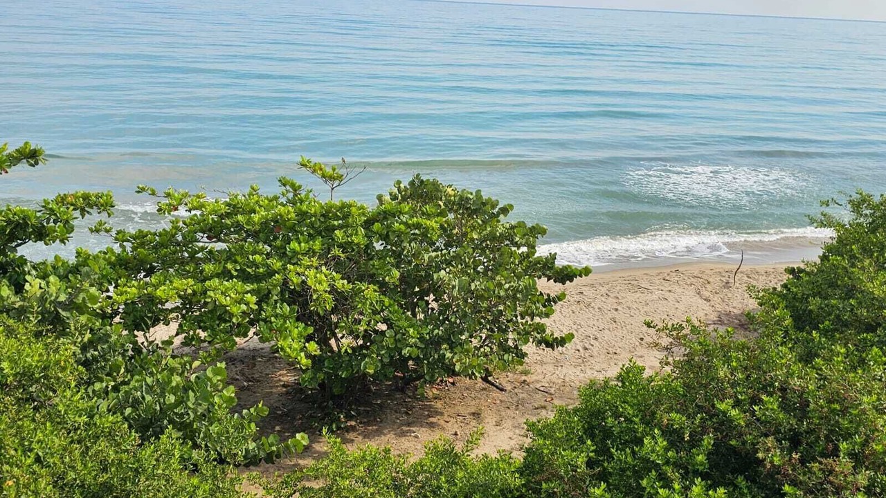 Photo of Others in Riohacha