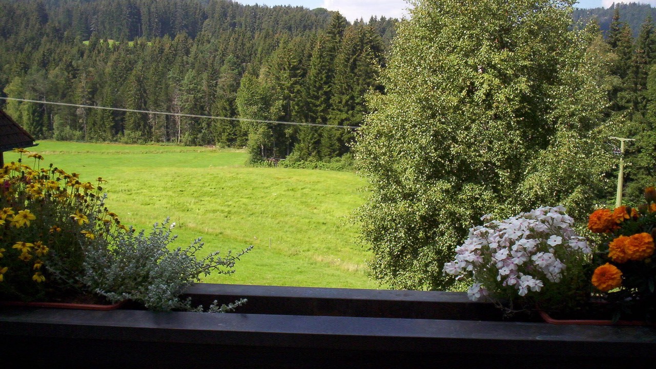 Photo of Outdoor in Hinterzarten