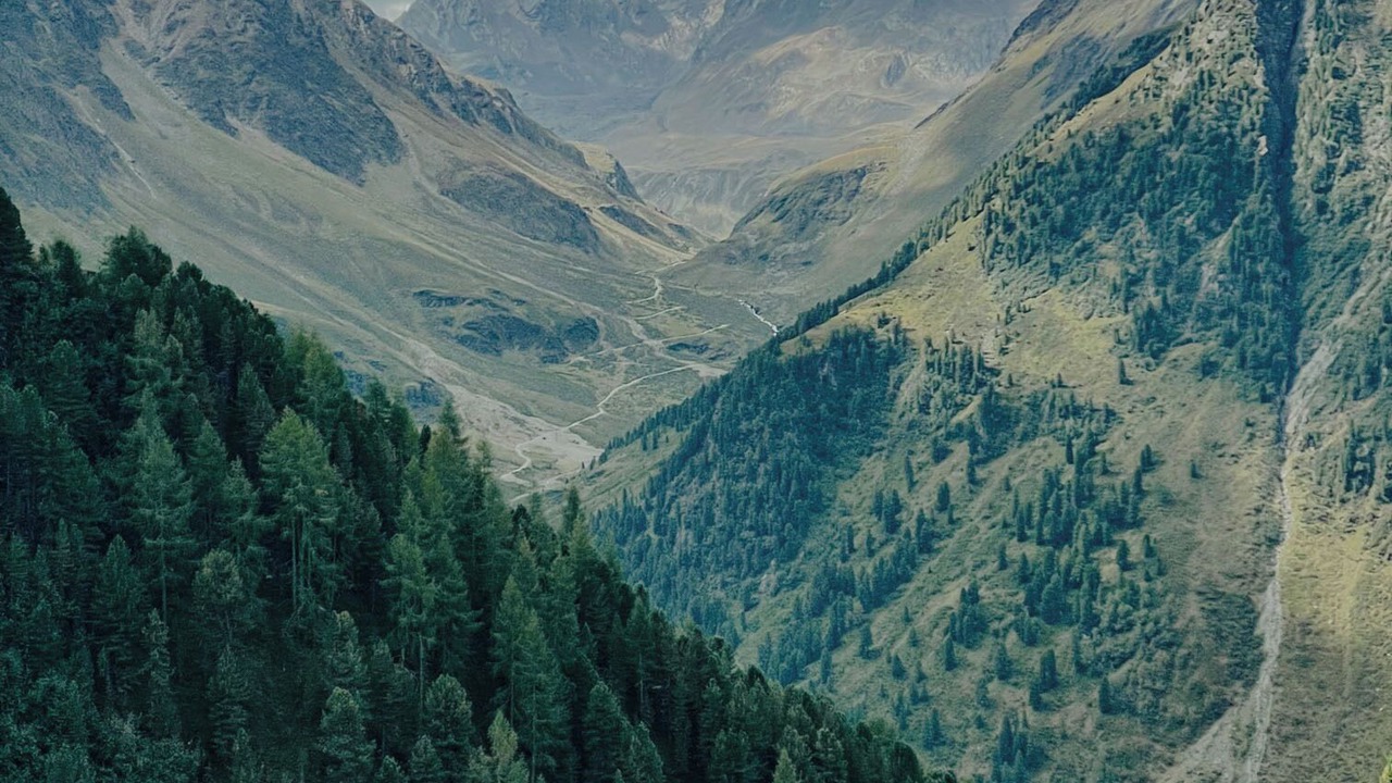 Photo of Others in Sellrain
