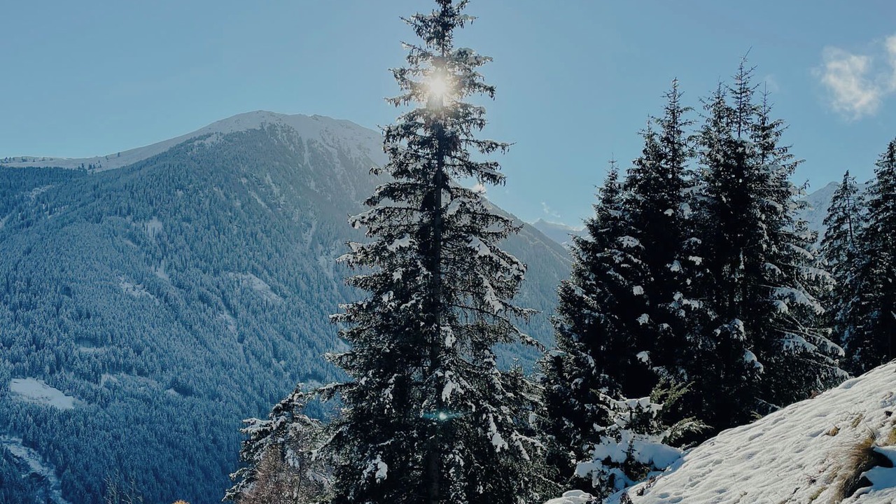 Photo of Others in Sellrain