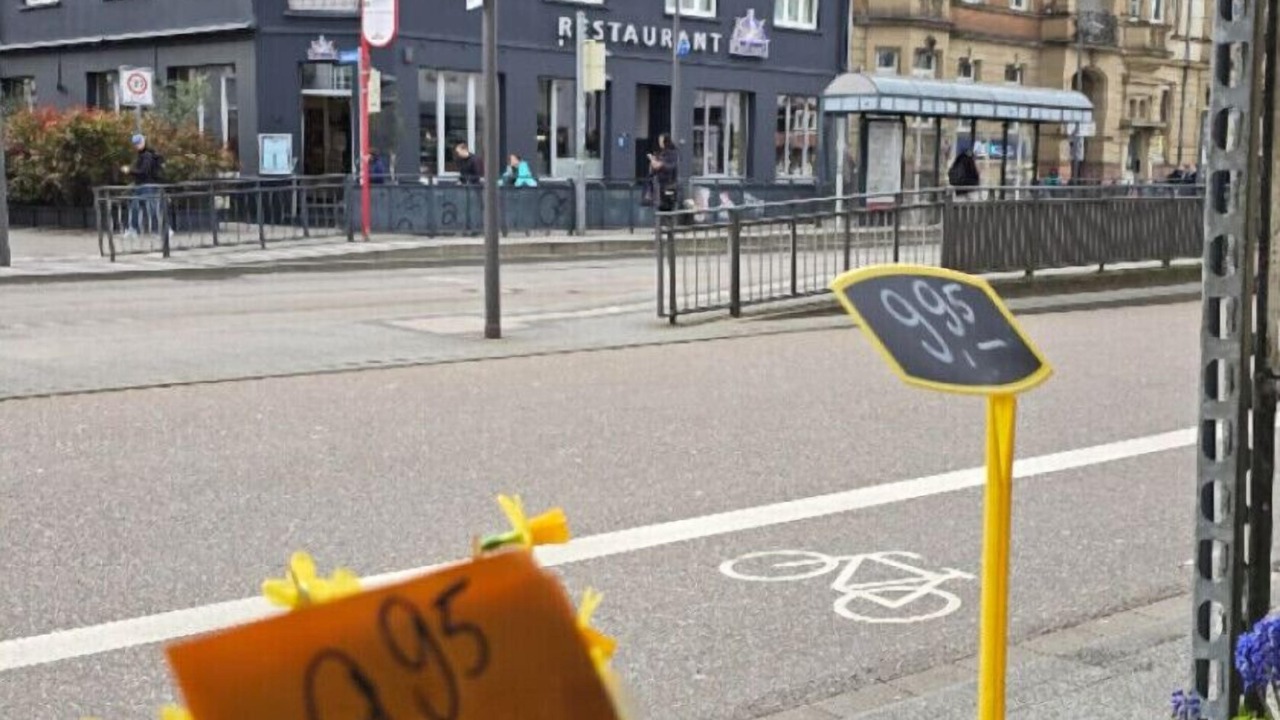 Photo of Others in Karlsruhe City Centre