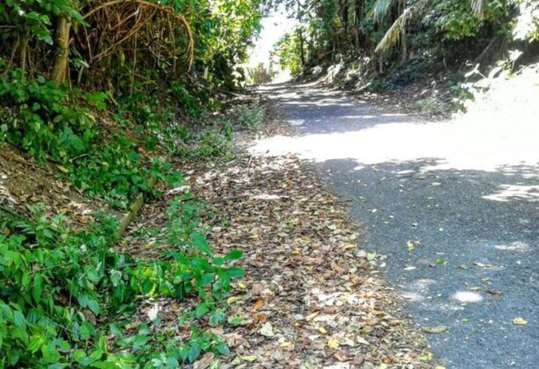 Photo of Others in Port Maria