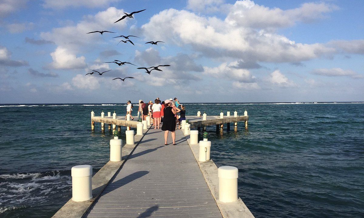 Photo of Others in Colliers Bay
