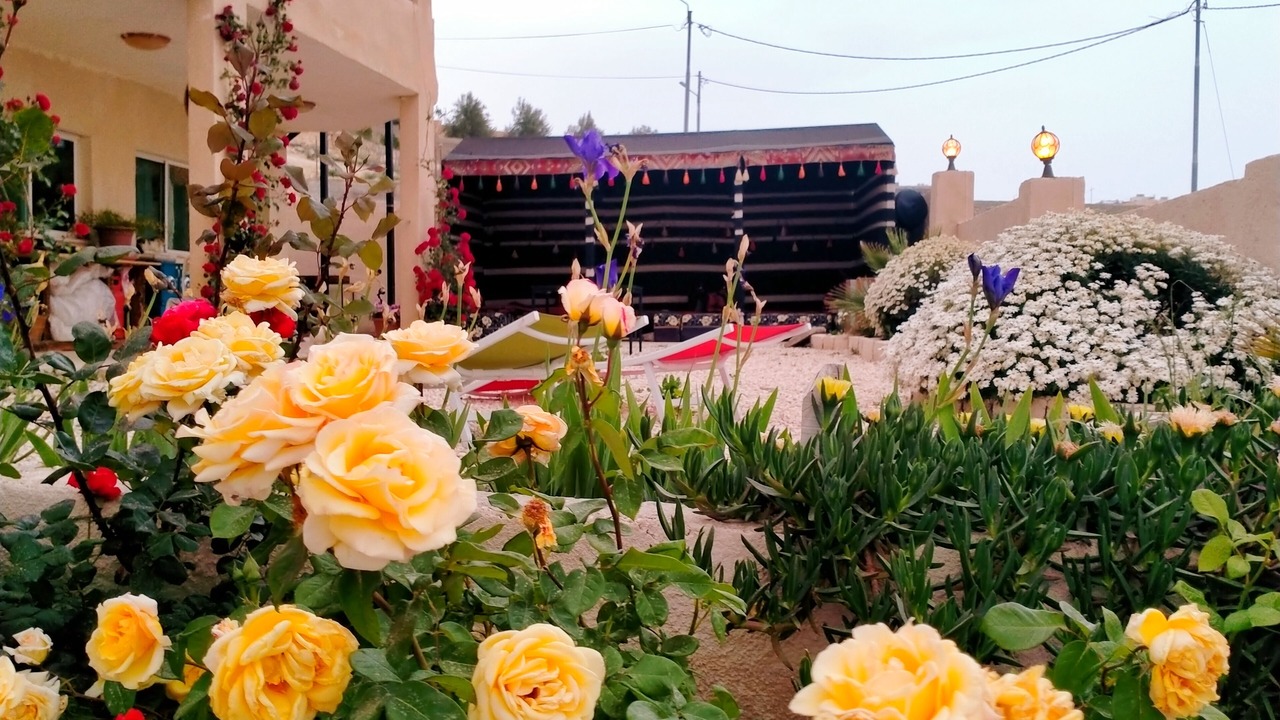 Photo of Outdoor in Wadi Musa