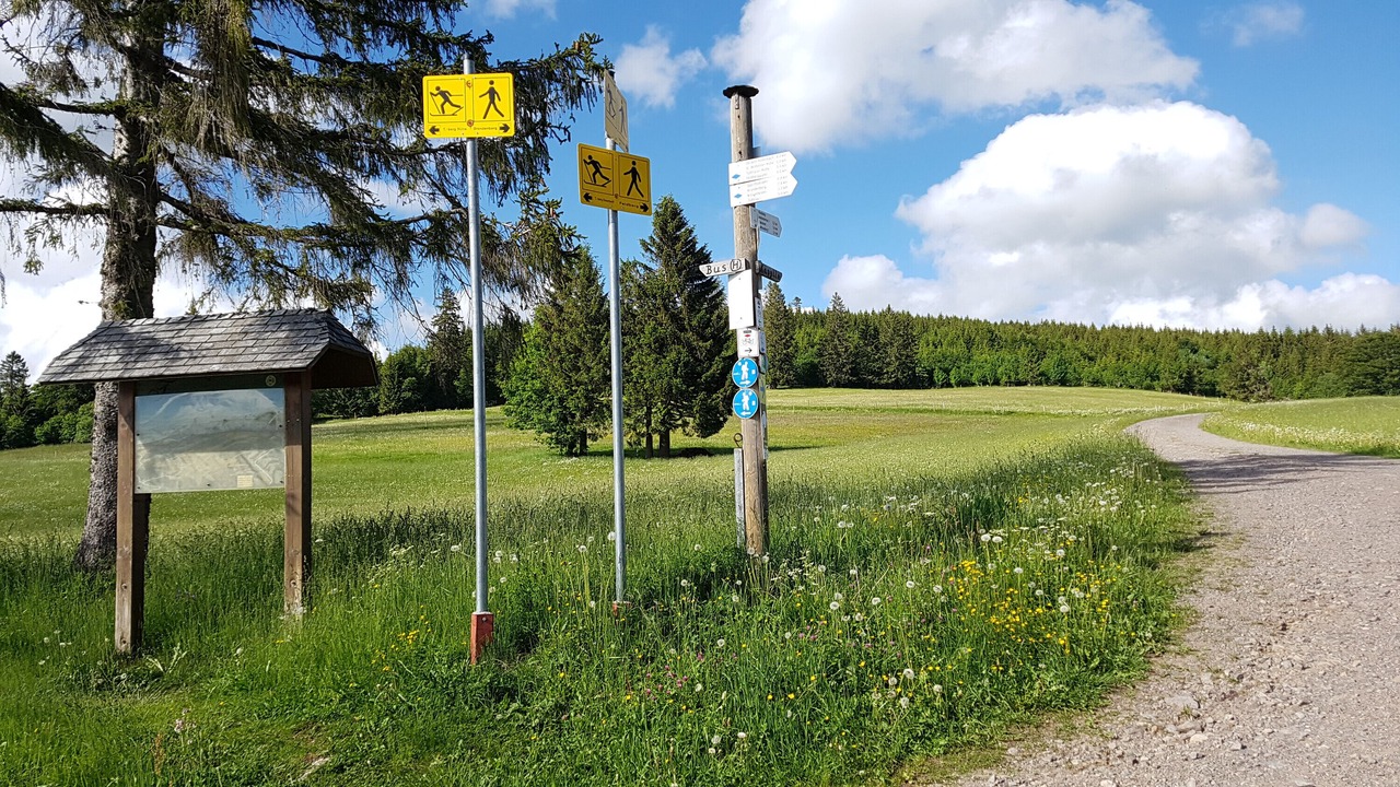 Photo of Others in Todtnauberg
