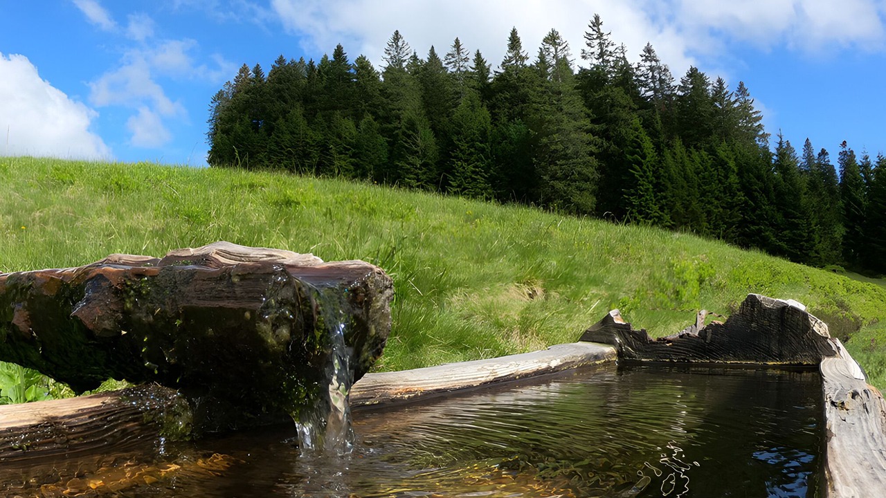Photo of Others in Todtnauberg
