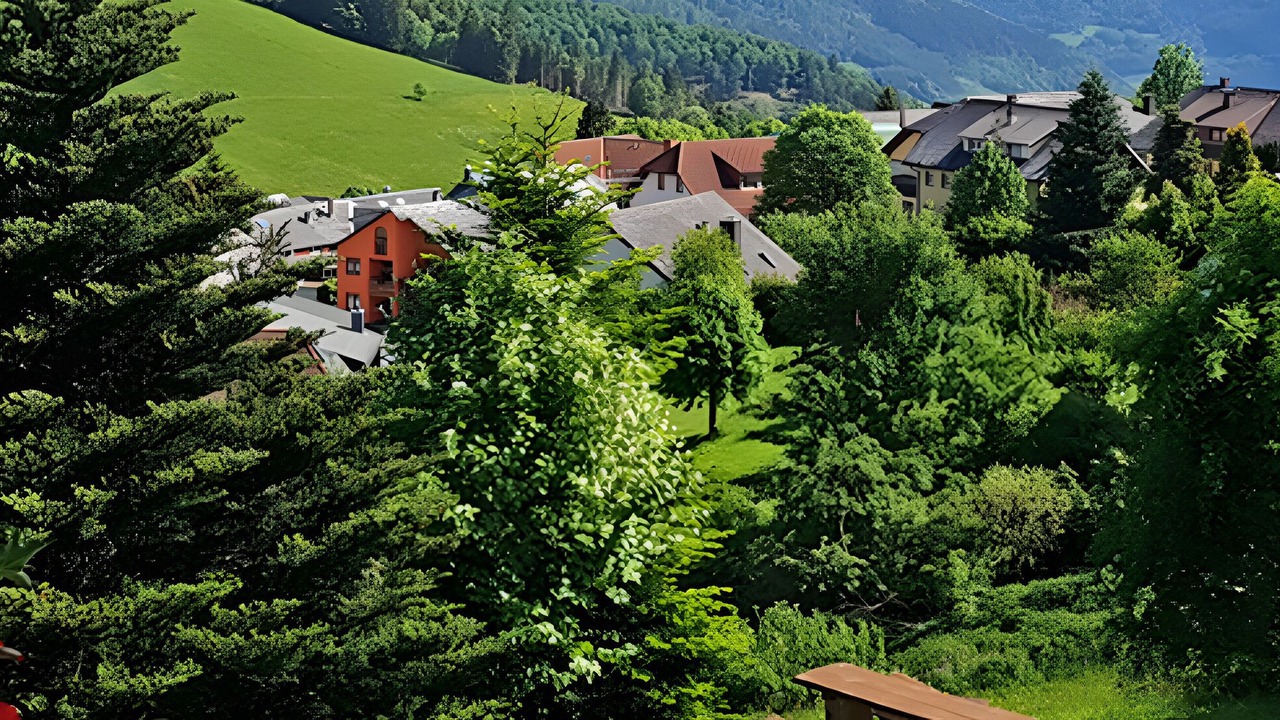 Photo of Others in Todtnauberg