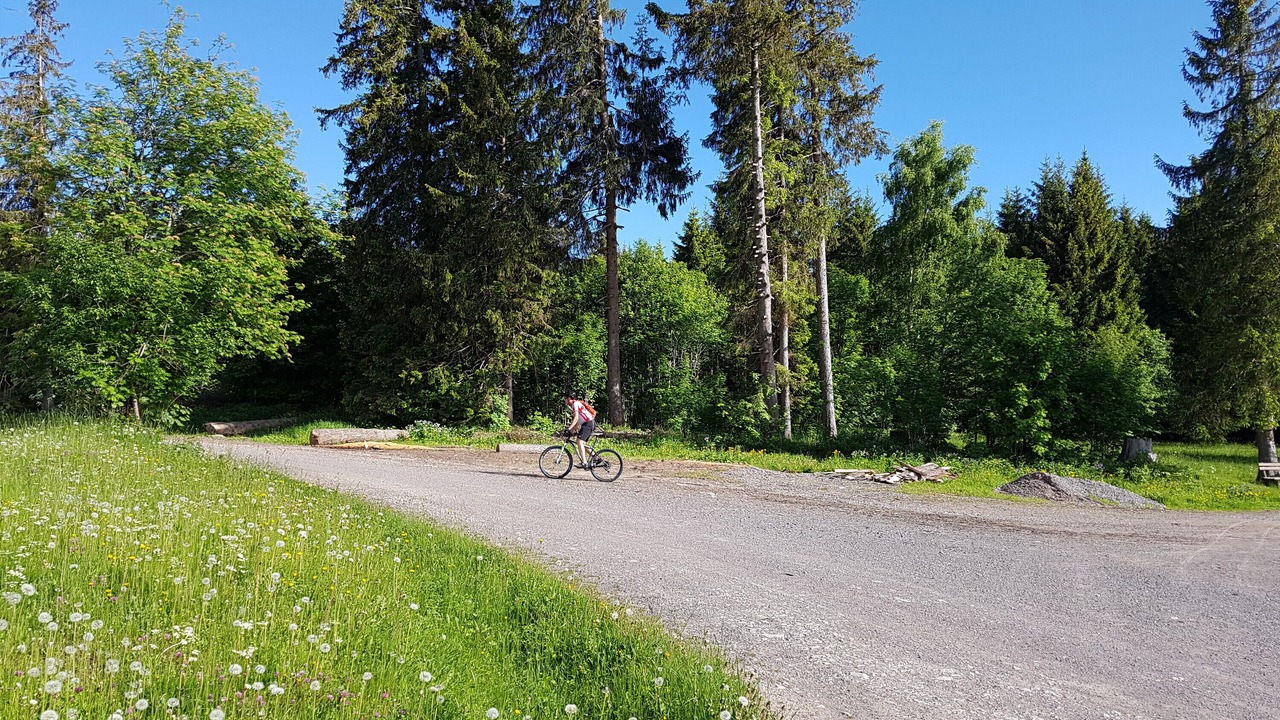 Photo of Others in Todtnauberg