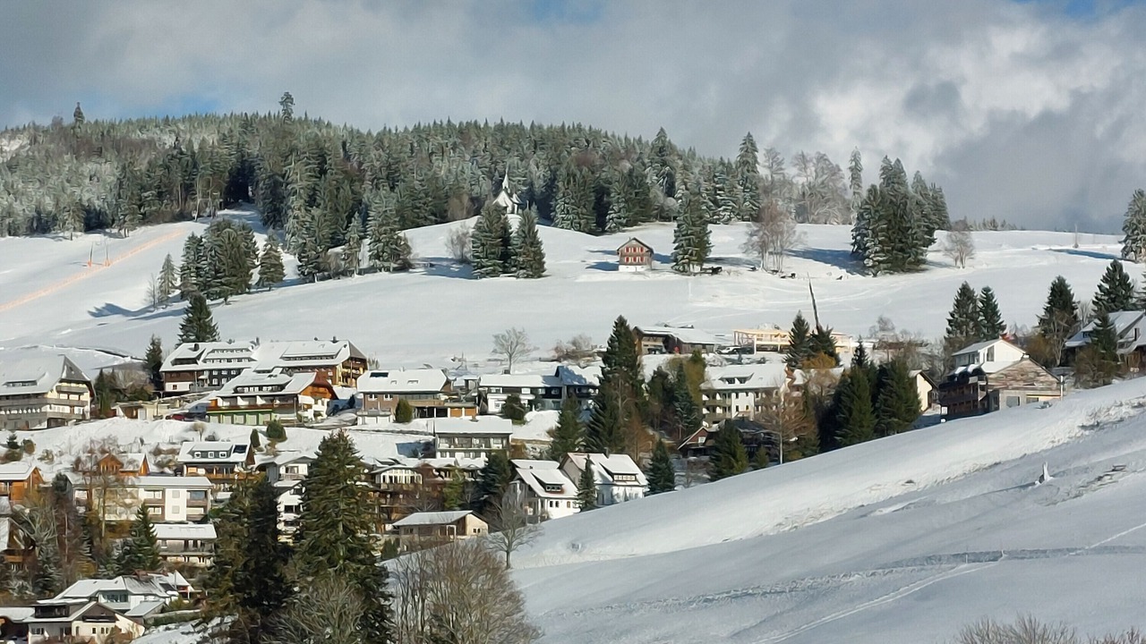 Photo of Others in Todtnauberg