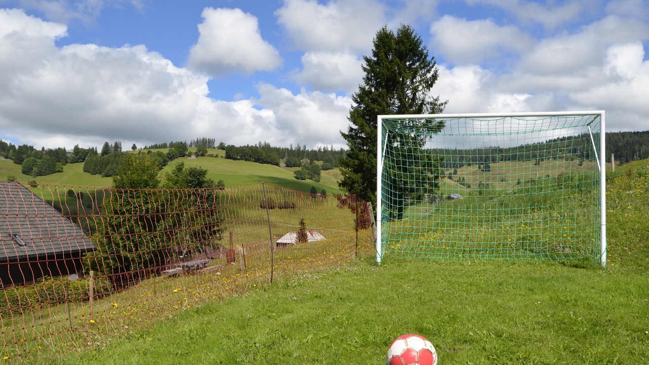 Photo of Others in Todtnauberg