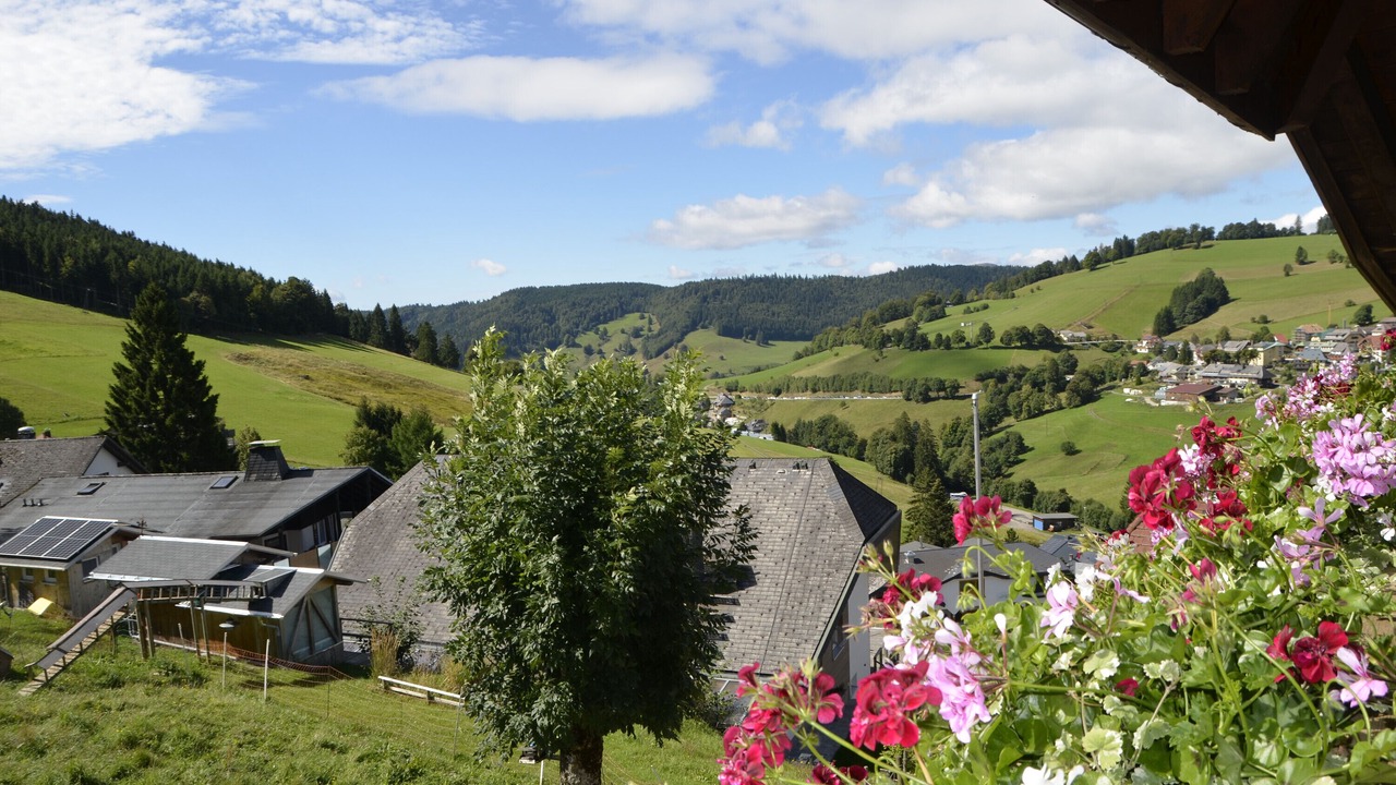 Photo of Others in Todtnauberg
