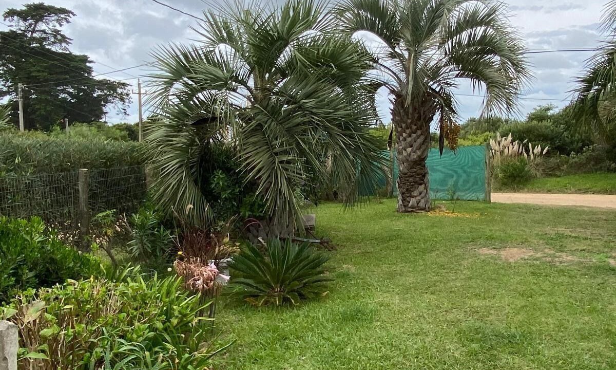 Photo of Outdoor in Rocha