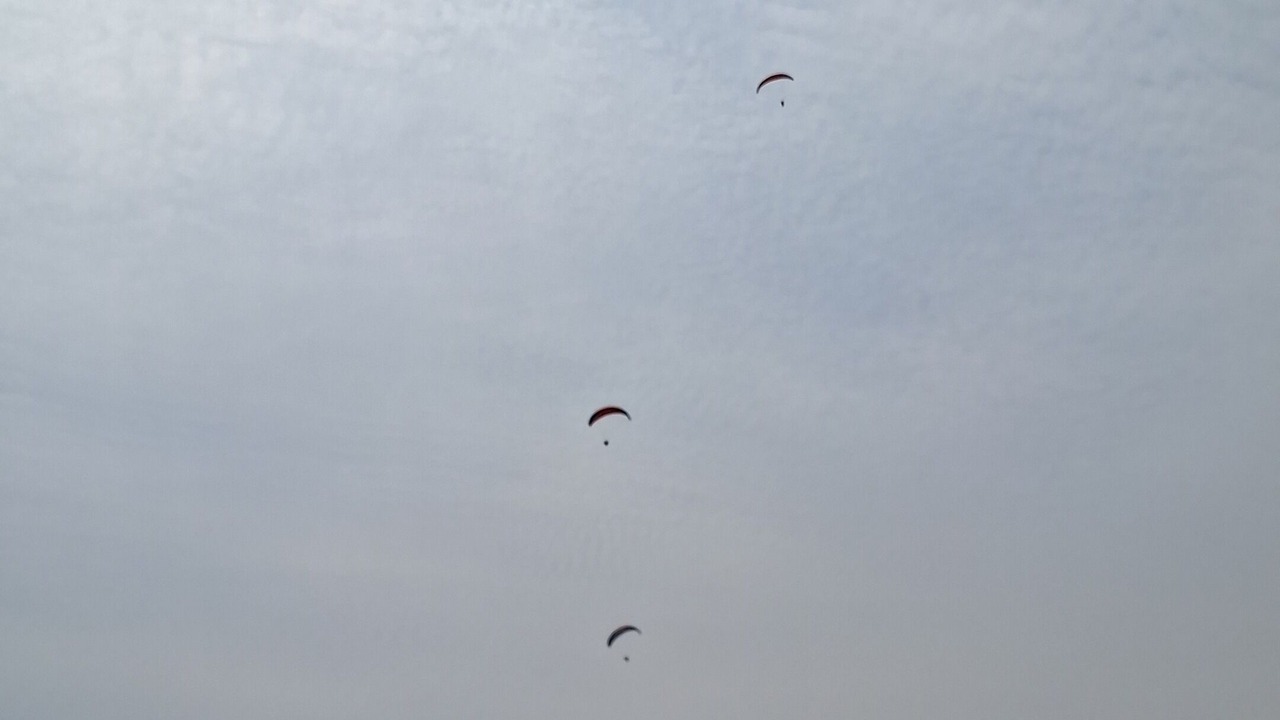 Photo of Others in Pachacamac