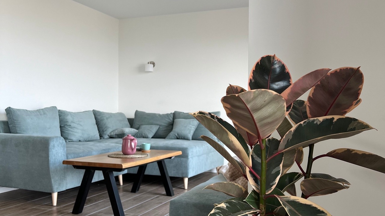 Photo of Livingroom in Hunerbach