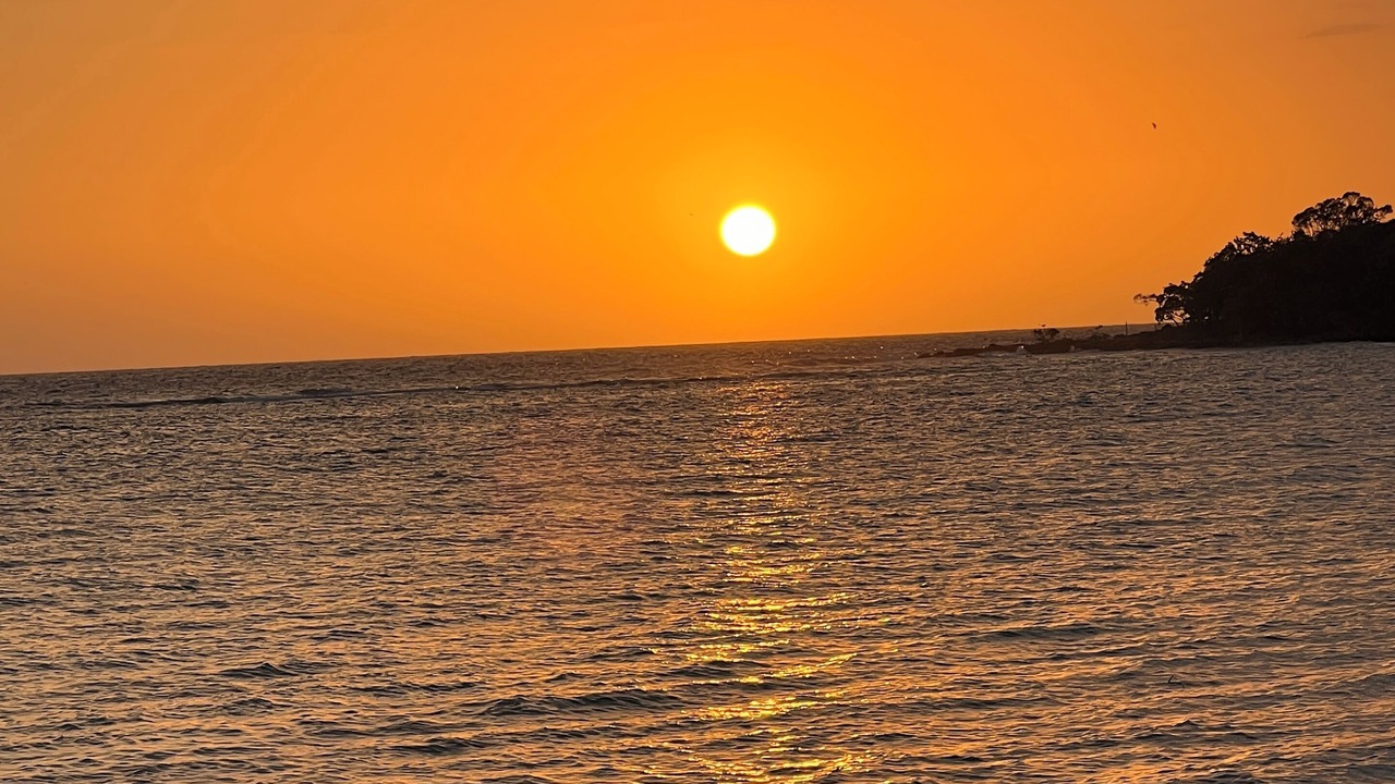 Photo of Others in Little Bay