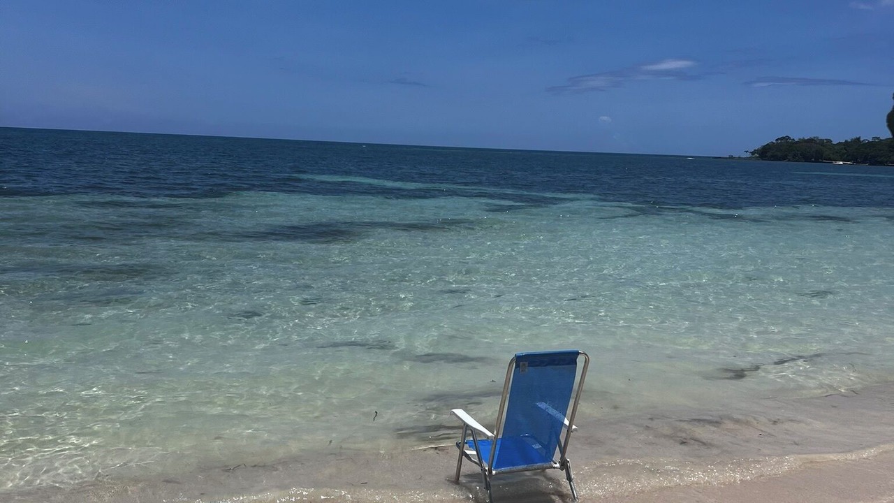 Photo of Others in Little Bay