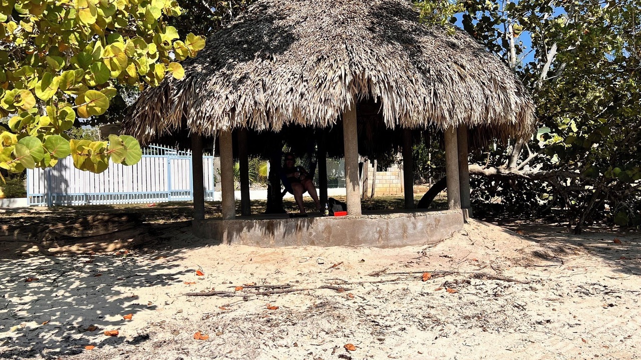 Photo of Outdoor in Little Bay
